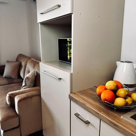 Apartamenty Modrzewiowa Zator Piotrowice  Exteriör bild